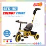 Tricycles in Delhi NCR